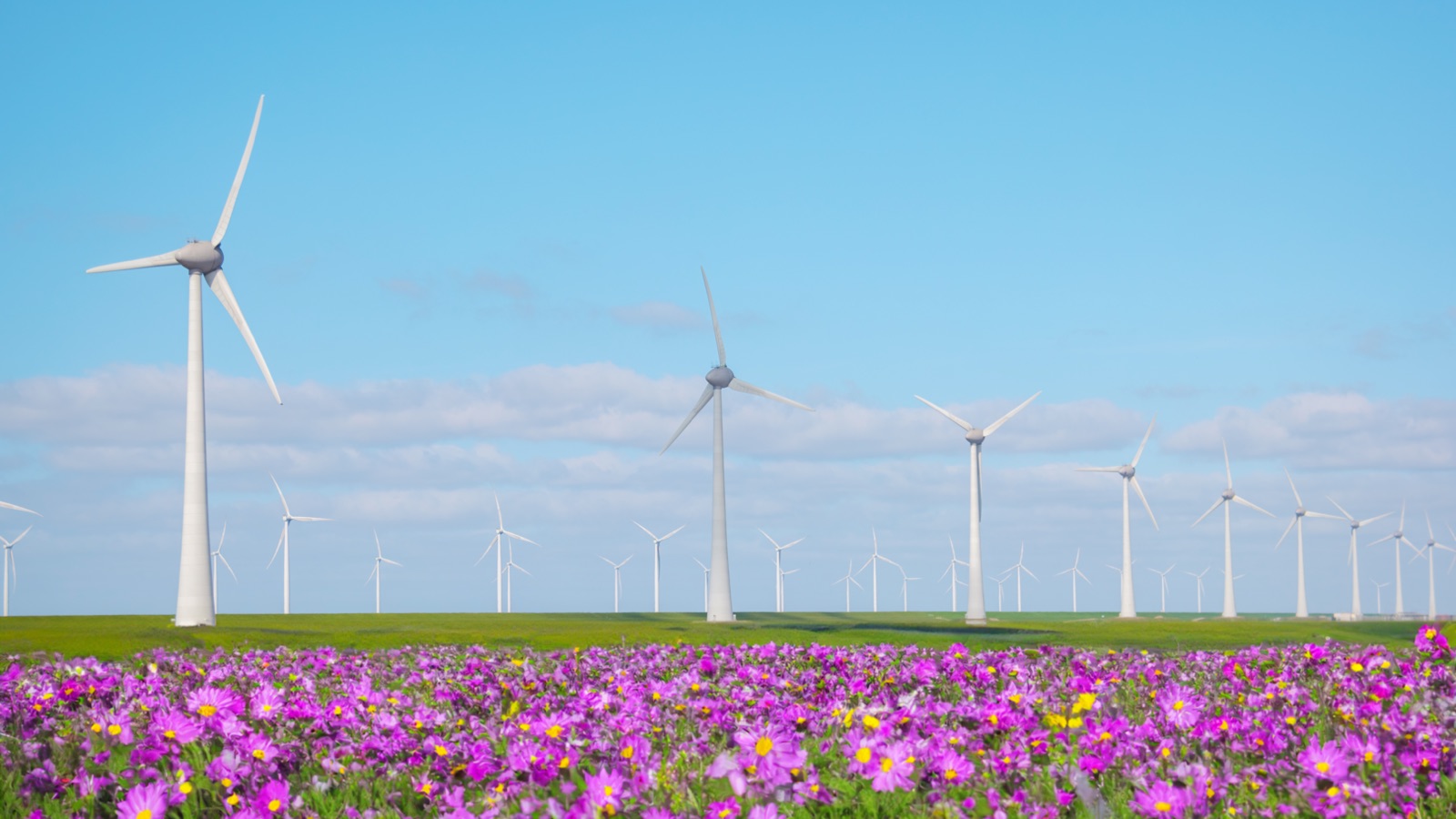 Wind Power – integrated thermal and cooling system design